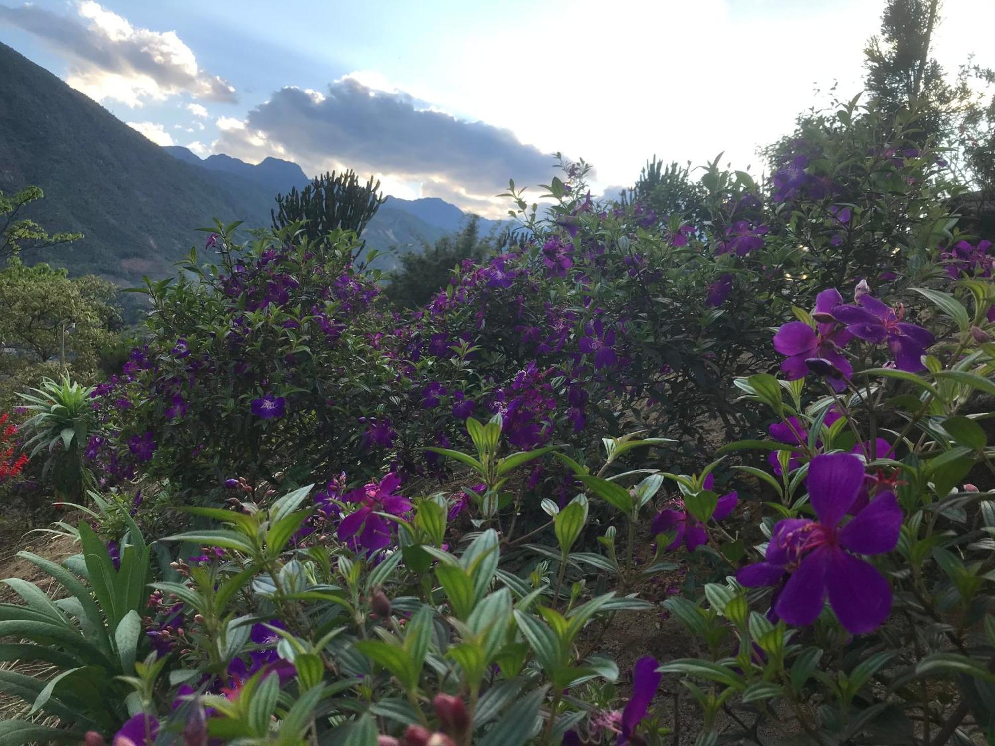 Sau Meo Mountain View Hotell Sa Pa Eksteriør bilde